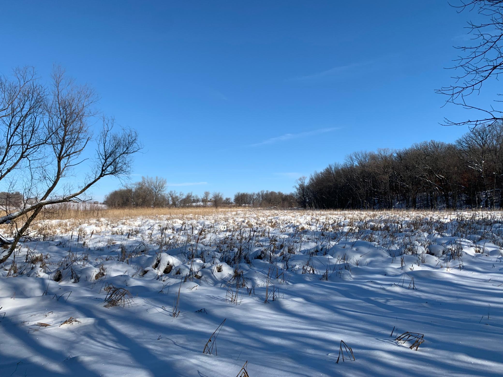 Low ground near creek