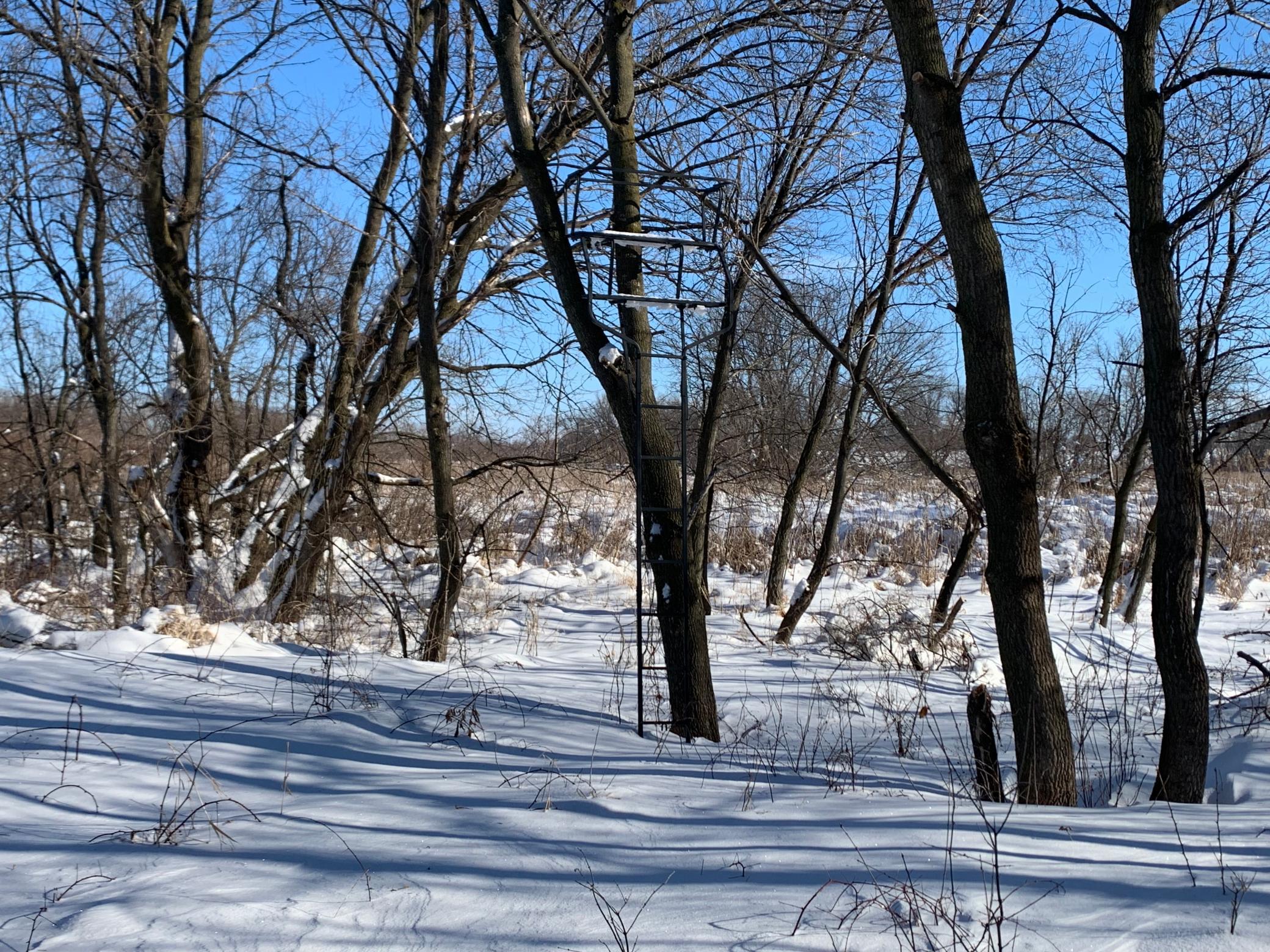 Woods / Low Ground