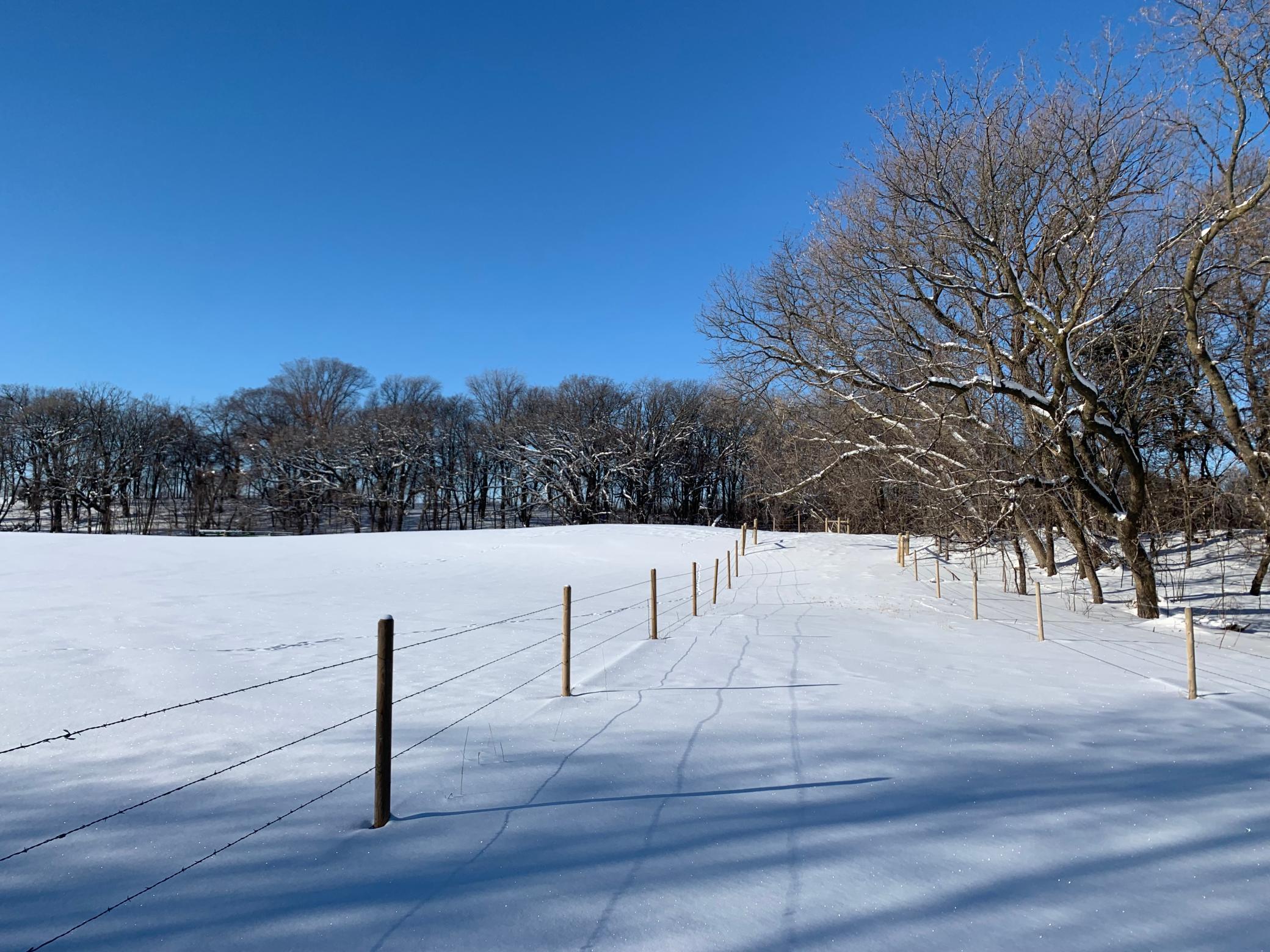 Trail