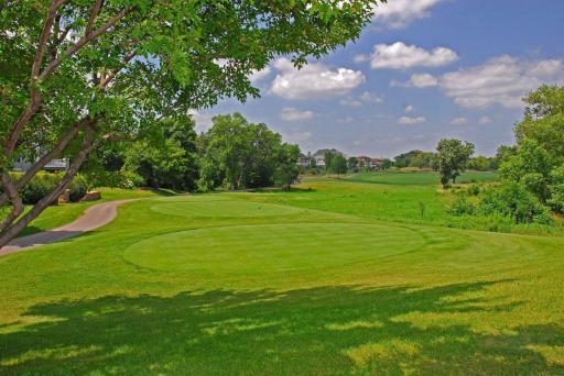 18038 Bearpath Trail, Eden Prairie, MN 55347