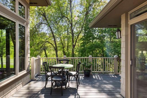 18038 Bearpath Trail, Eden Prairie, MN 55347