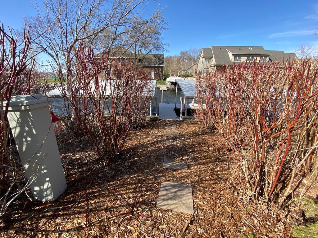 GhfVdRloRx2iVqAhlu2o8g