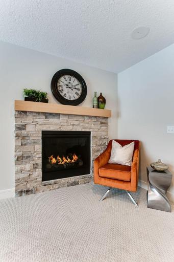17040 46th Avenue N, Plymouth, MN 55446