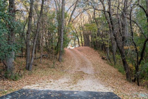 A towering tree lined driveway on 1.34 acres creating a Private oasis.