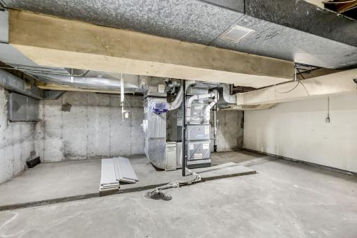 The massive utility sub-basement includes exposure to all home mechanicals and tons of additional storage space.