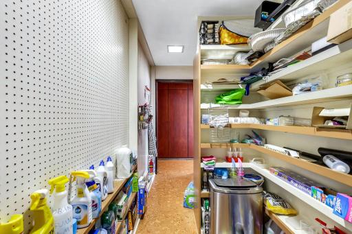 The spacious pantry right off the kitchen.