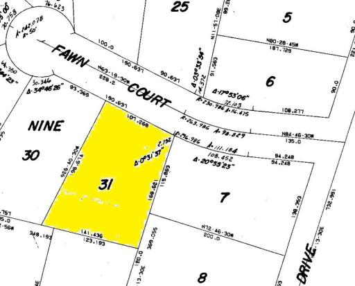 size map Lot 31 SS#1.jpg