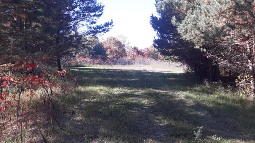 Road and cul-de-sac past lot