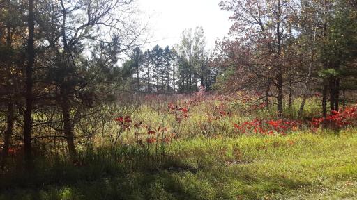 Facing Middle of Lot from road