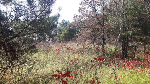 Perfect spot for the driveway