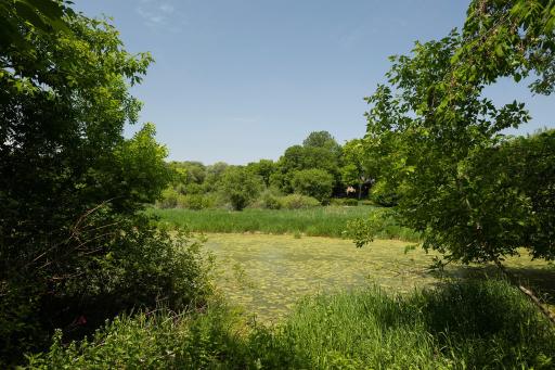 425 Ferndale Woods Road, Wayzata, MN 55391