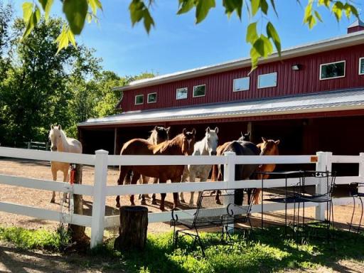 680 Game Farm Road N, Maple Plain, MN 55359