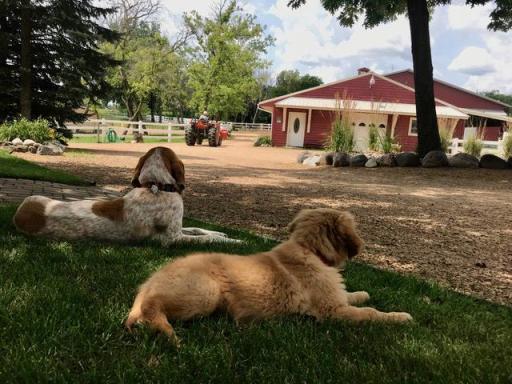 680 Game Farm Road N, Maple Plain, MN 55359