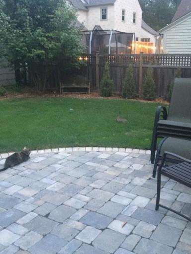 Summer patio/ winter extra 3rd parking spot