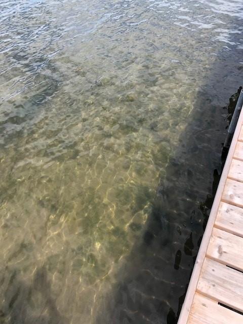 Beautiful Hard, Sandy Bottom