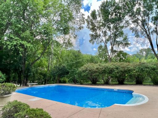Pool Surrounded with Gorgeous Lilac Bushes, Enjoy the Fragrance!