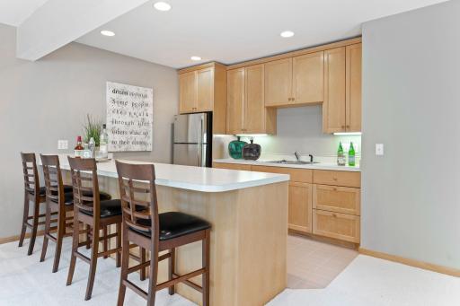 Walk-Out Level Bar/Kitchen with New Stainless Refrigerator