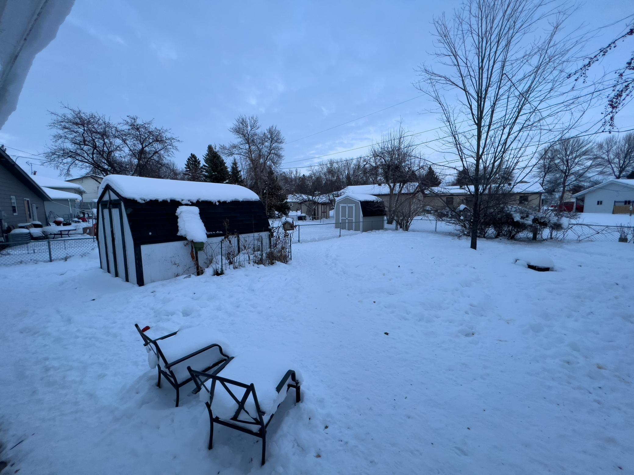 Back yard and storage shed.