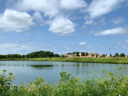 Fieldstone Elementary School is literally walking distance from this home. Nature trails beyond the school.