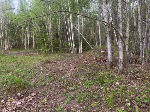 TBD Twilight Court, Emily, MN 56662