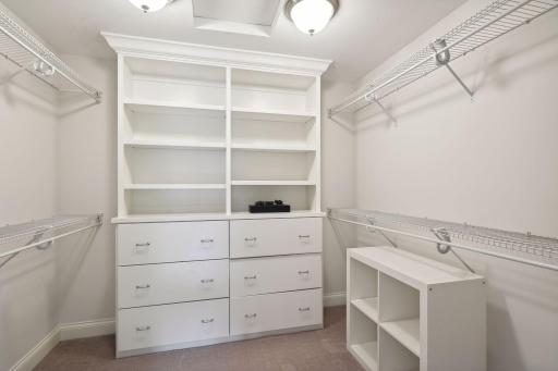 Ample closet space with custom built-in organizer.