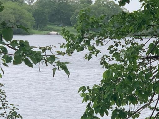 Panfish, Largemouth Bass and Northern Pike