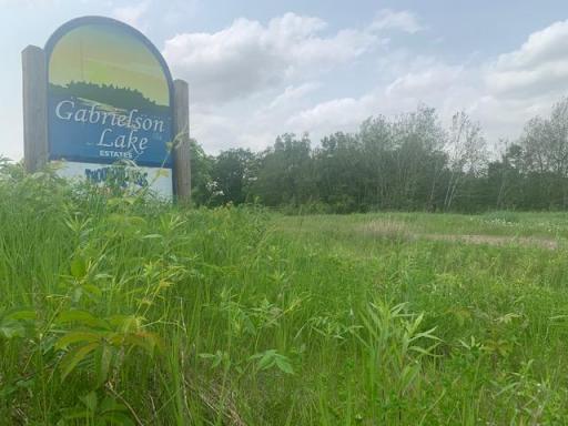 L5 N Gabrielson Lake Road, Luck, WI 54853