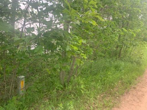 L5 N Gabrielson Lake Road, Luck, WI 54853