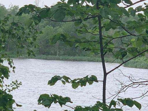 L5 N Gabrielson Lake Road, Luck, WI 54853