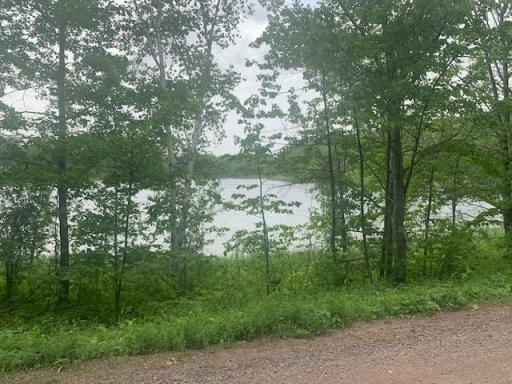L5 N Gabrielson Lake Road, Luck, WI 54853