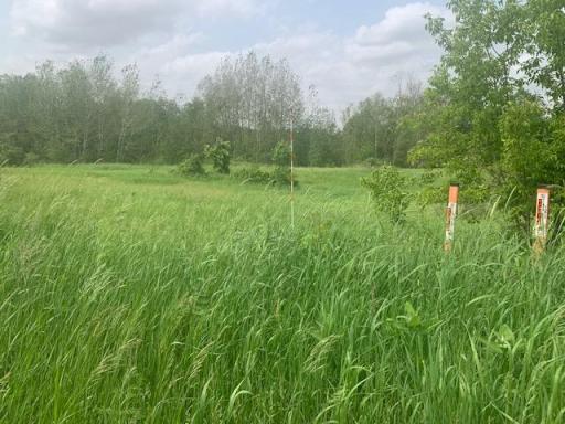 L5 N Gabrielson Lake Road, Luck, WI 54853