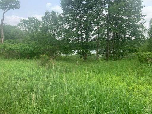 L5 N Gabrielson Lake Road, Luck, WI 54853