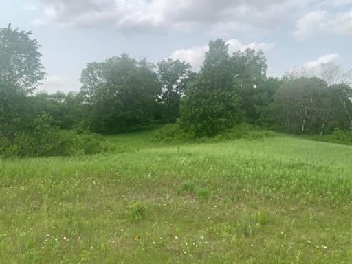 L5 N Gabrielson Lake Road, Luck, WI 54853