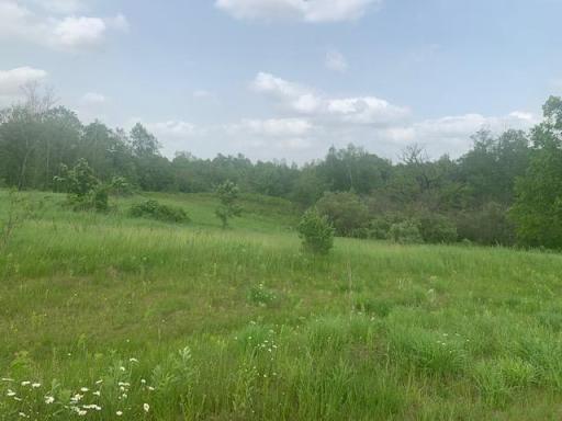 L5 N Gabrielson Lake Road, Luck, WI 54853