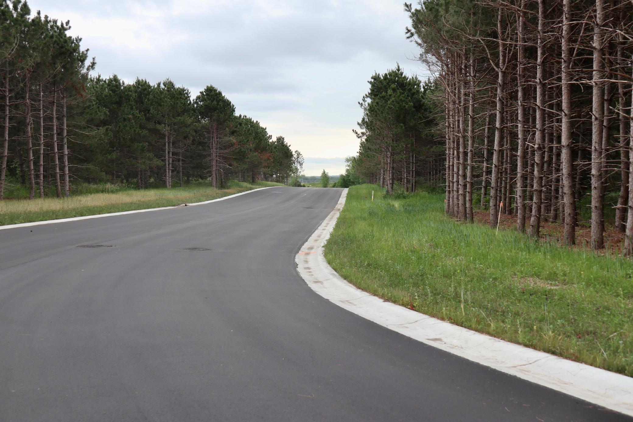 Long Pine Dr. looking East.jpg