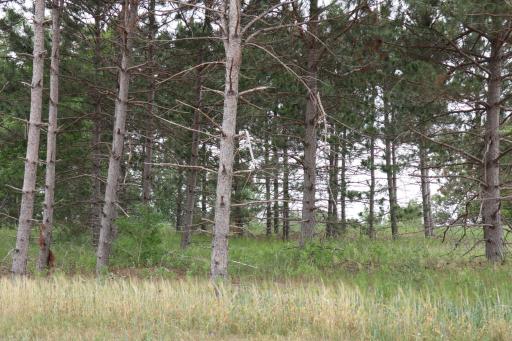 1913 Long Pine Drive, Detroit Lakes, MN 56501