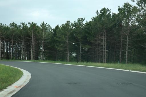 West End of Long Pine Dr..jpg