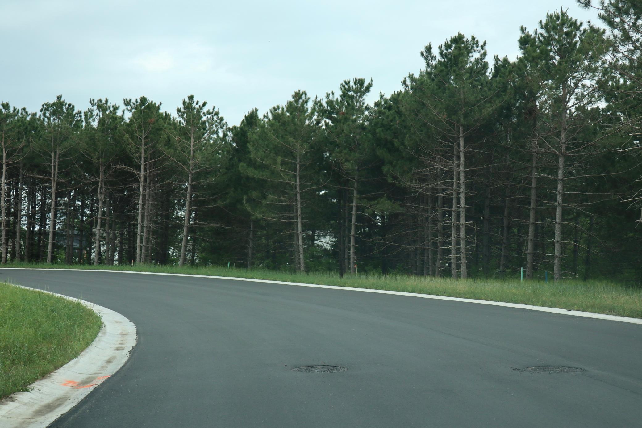 West End of Long Pine Dr..jpg