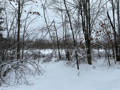 Photo for 77440 Markville Road, Sandstone, MN 55072 - Listing #6325356 77440 Markville Road, Sandstone, MN 55072