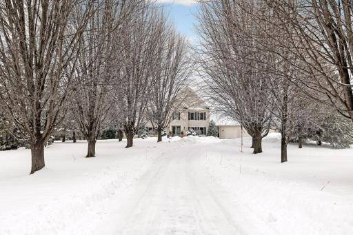 A Tree-lined Driveway to Welcome you Home