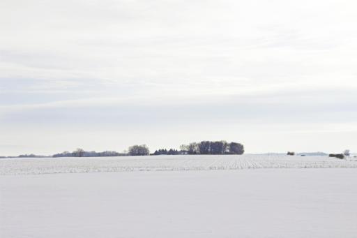 xxx Havana Road, Owatonna, MN 55060