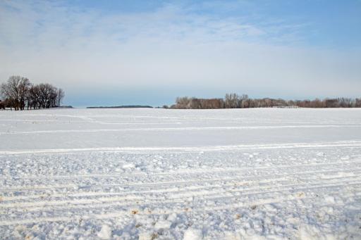 xxx Havana Road, Owatonna, MN 55060
