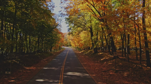 The Meadows on Halstead's Bay - Road to Entrance