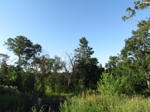 13322 Johnson Street, Becker, MN 55308
