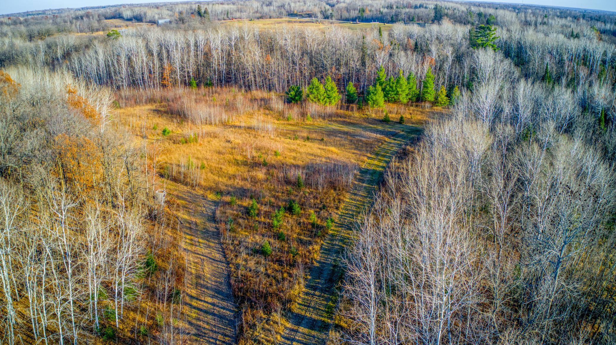 Photo 36
