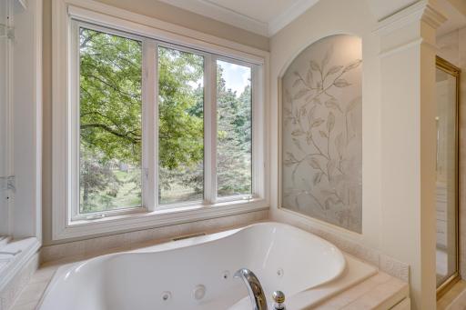 12 Lake Court, North Oaks, MN 55127