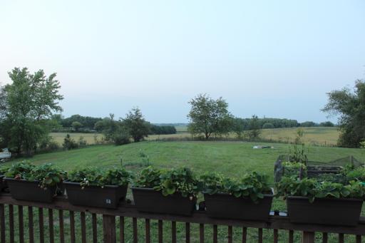 View from deck looking north. Fire pit back there. North property line is line of trees in back.
