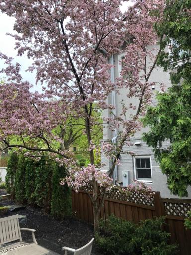 The gardens are fabulous on this expansive property.