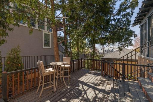Private and tucked away with tree top views of Lake Harriet...