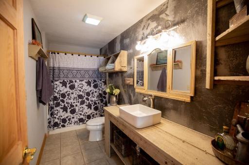 Lower Level Bathroom